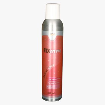 Smooth and Fix Spray 300ml - Dancecos